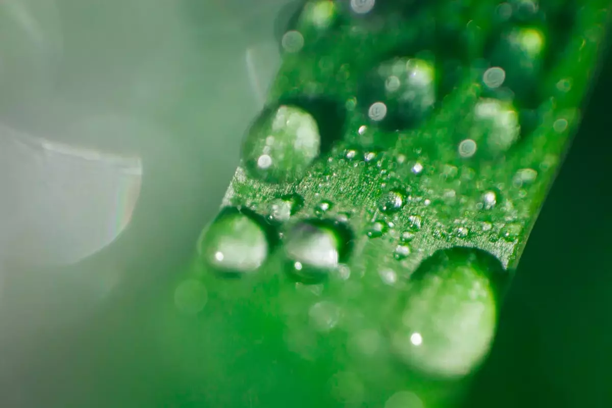 高纤不够，还要保湿