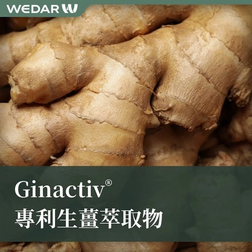 Ginactiv® 专利生姜萃取物