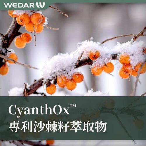 CyanthOx™ 专利沙棘籽萃取物