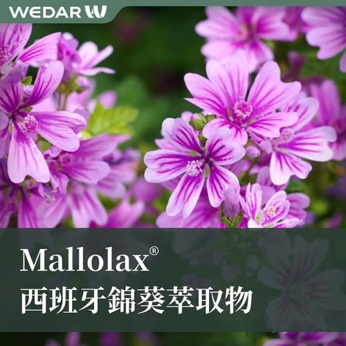 Mallolax® 西班牙锦葵萃取物