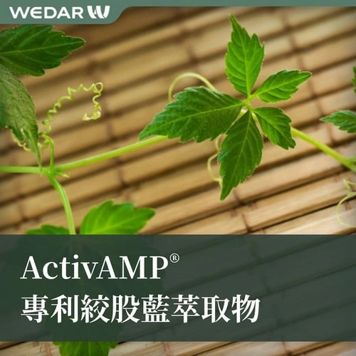 ActivAMP® 专利绞股蓝萃取物
