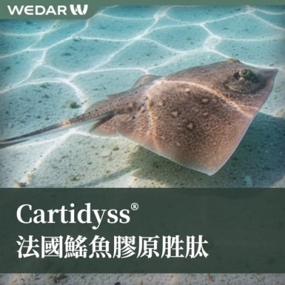 Cartidyss® 法国鳐鱼胶原胜肽